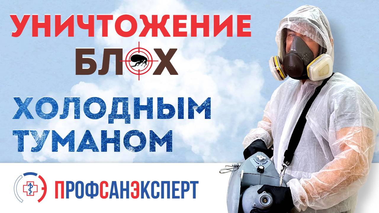 Видео превью